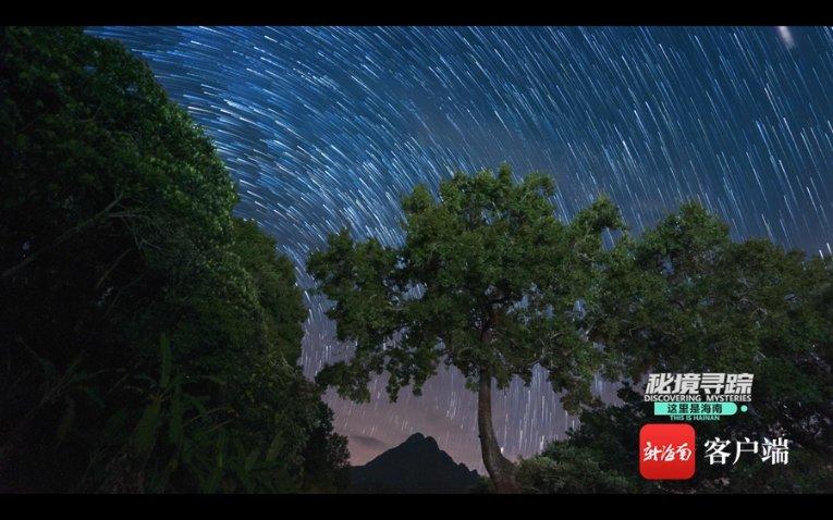 深度学习星球-一个团伙盗窃要判多少年?平台,专注知识分享与交流